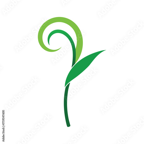 Minimalist sugar cane plant spiral feather design
