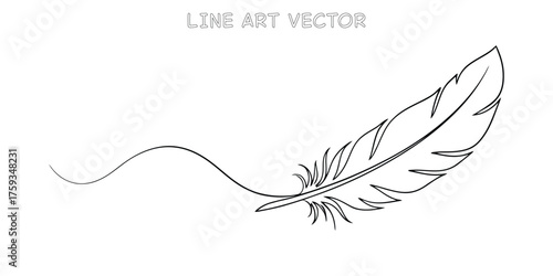 Elegant feather drawing delicate line art simple design