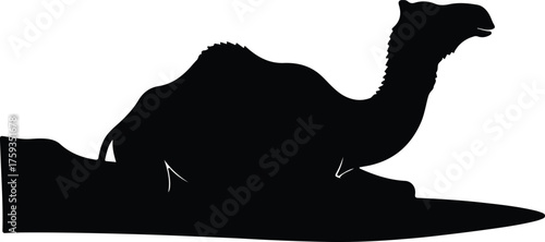 Vector camel sitting on desert sand dune silhouette illustration