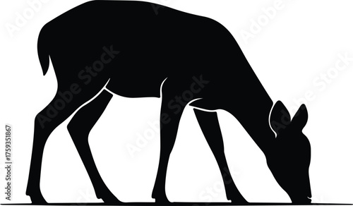 Vector deer grazing black silhouette illustration