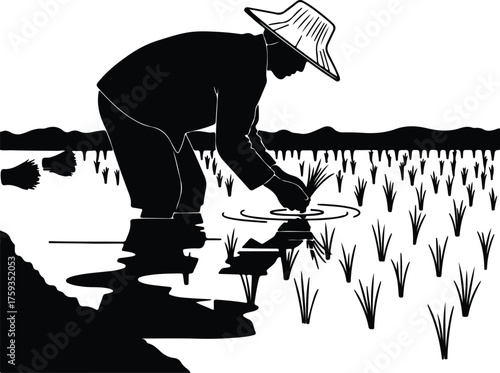 Vector Farmer planting rice field in silhouette illustration