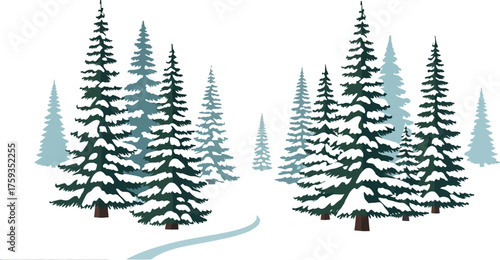 Snowy winter forest landscape with tall pine trees and a winding path creating a serene and peaceful christmas scene in a vector illustration