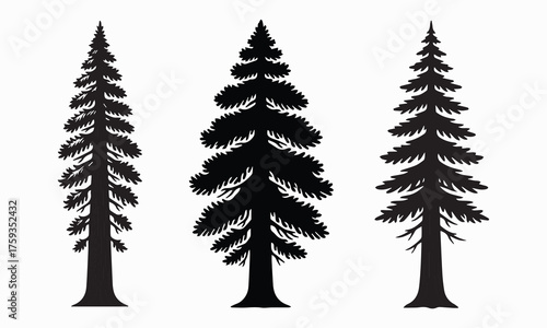 Redwood tree silhouette