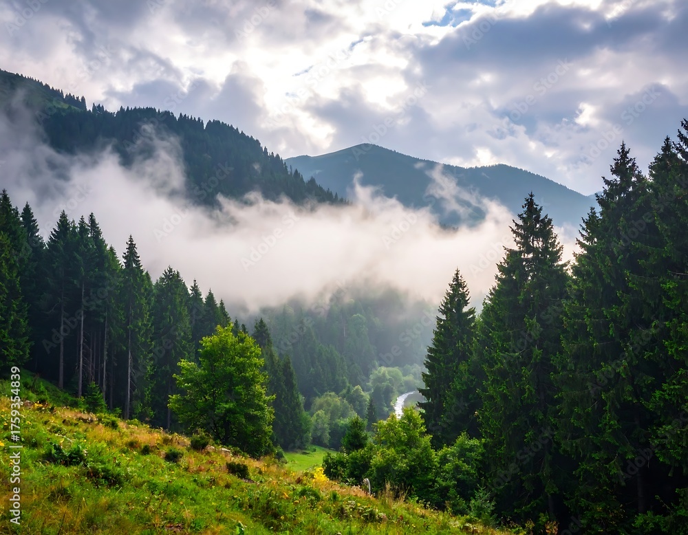Fototapeta premium Majestic view of mountain peaks shrouded in mist and lush forest