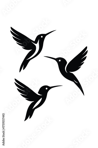 Three Black Hummingbirds Flying and Hovering in Flight Vector Art