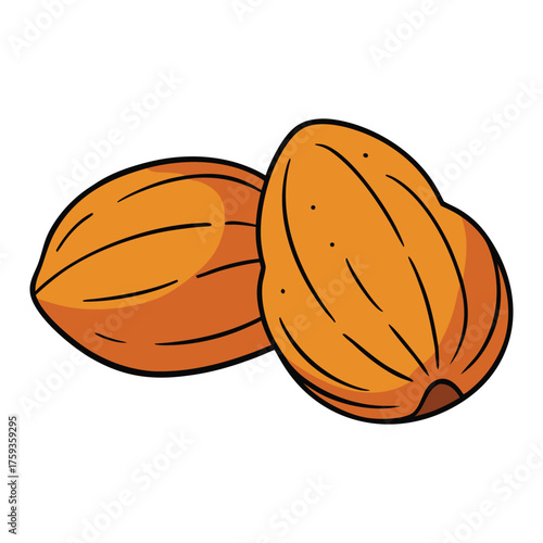 A variety of crunchy, nutritious nuts like almonds, walnuts, and cashews, packed with protein, healthy fats, and flavor—perfect for snacking or cooking.
