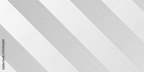 Geometric diagonal oblique vector curve gradient black and white graphic stripe line. Repeated fine diagonal lines Thin slash line stripes diagonal vector elegant background	