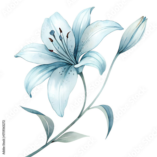 Arctic Blue Lotus Watercolor Botanical Art with Frost Petals.