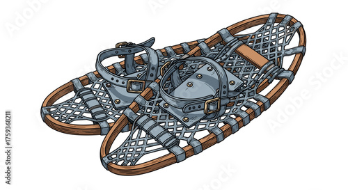 Pair of traditional snowshoes illustrated in muted winter tones
