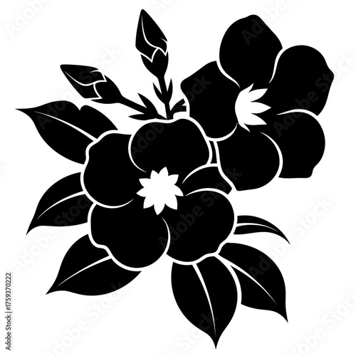 black and white silhouette vector icon of alamanda flower on white background