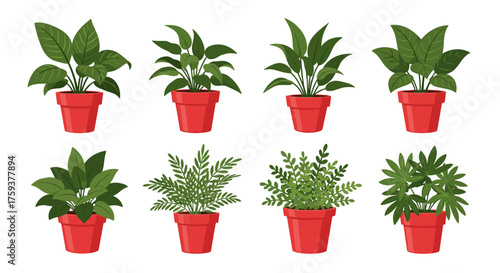 A collection of eight diverse green houseplants in red pots arranged in two rows.
