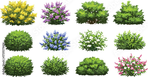 Colorful decorative garden bush collection, green foliage and flowering shrub set, natural landscape plant design, eco garden element, cad drawing flat vector illustration, realistic foliage vector,