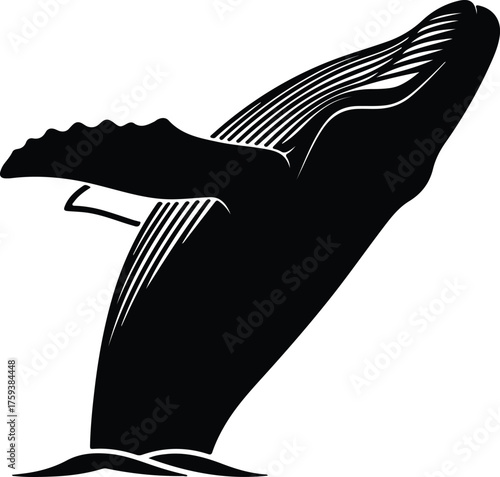 Vector Humpback whale breaching water surface silhouette illustration