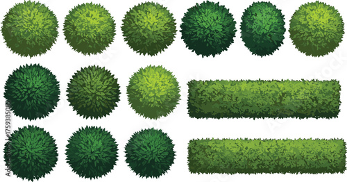 Green bush and hedge collection, garden plant foliage set, landscape greenery design element, nature leaf texture, cad drawing flat vector illustration