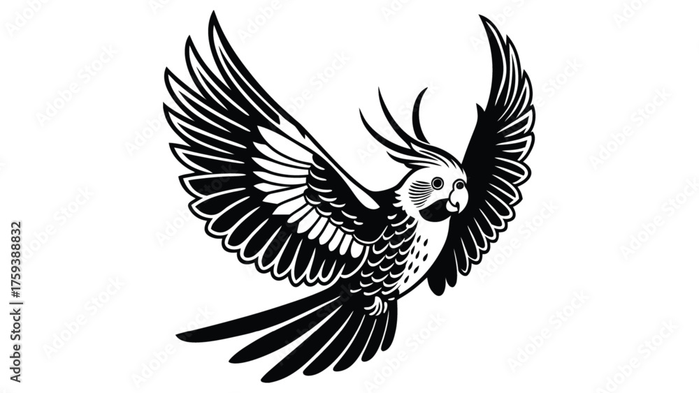 Fototapeta premium Cockatiel flying silhouette 