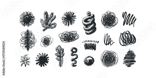 Hand drawn abstract organic shapes and botanical forms