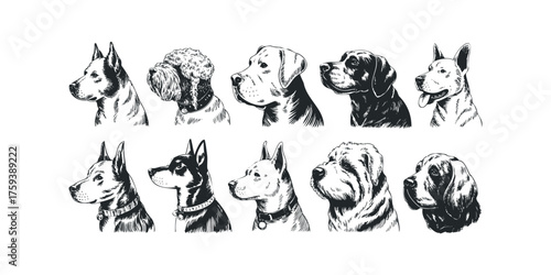 Collection of Dog Breed Head Illustrations