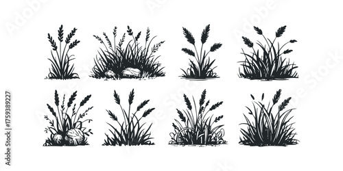 Collection of grass and grain silhouettes on white
