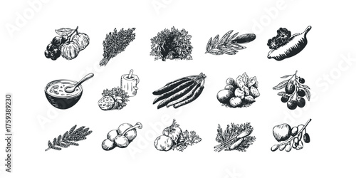 Sketch Collection of Fresh Produce and Herbs