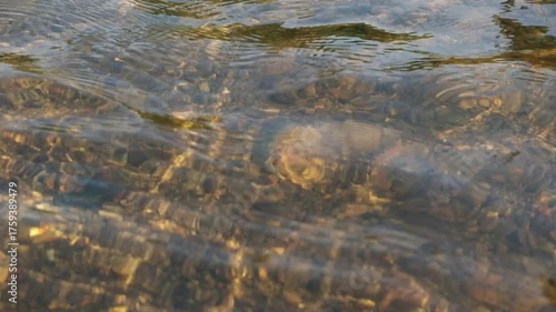 Freshness of the river with light falling on surface water