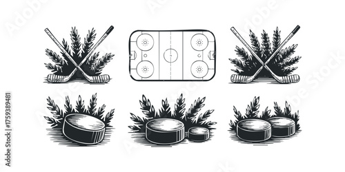 Hockey pucks and crossed sticks with winter branches