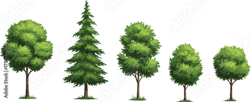 Realistic green tree collection, pine and deciduous plants, summer forest foliage, nature landscape element, eco environment, CAD drawing flat vector illustration