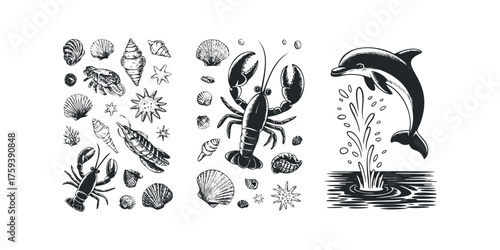 Sea life assortment with dolphin and lobster