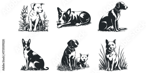 Collection of six distinct dog portraits in black and white style