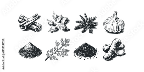 Assortment of Cooking Spices and Aromatics in Graphic Style