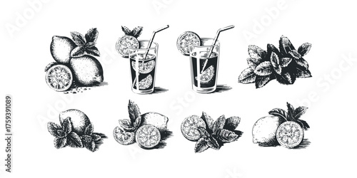 Lemon and mint drinks with fresh fruit slices