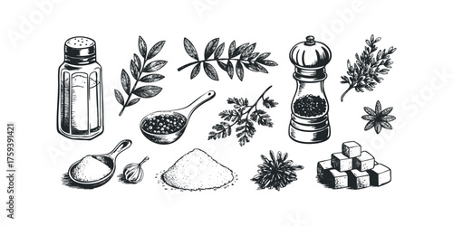 Hand drawn collection of spices and seasonings