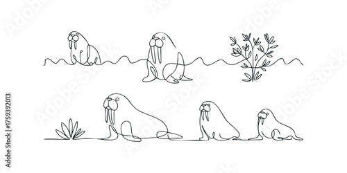 Continuous line drawing of walruses and plants