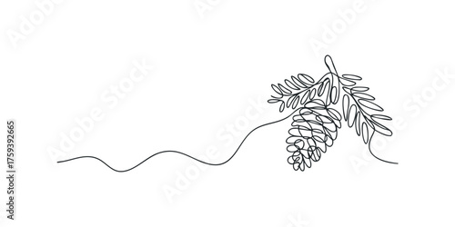 Continuous line drawing of pine cone and branch