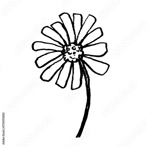 Hand drawn flower drawing. Doodle sketch vector illustration.