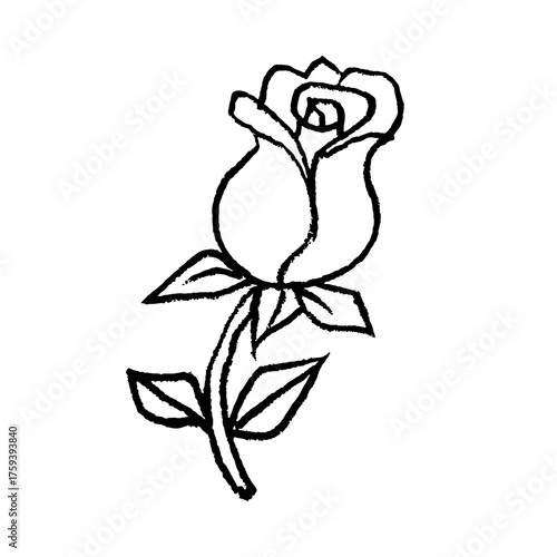 Hand drawn flower drawing. Doodle sketch vector illustration.