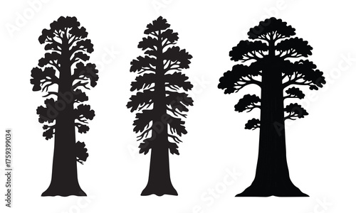  Sequoia tree silhouette