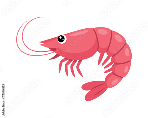 Cartoon illustration of a pink shrimp with antennae and legs on a white background