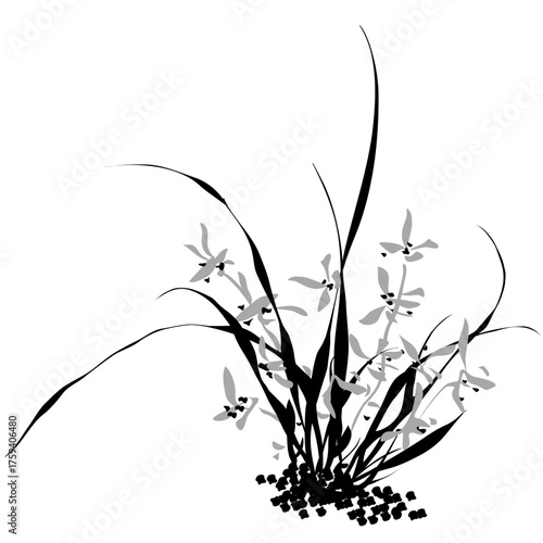 Graceful orchid flower and wild grass illustration in traditional Sumi-e brush painting style, minimalist black and white Asian art vector for Zen design