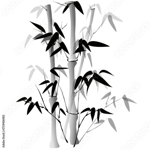 Hand drawn bamboo plant vector with soft brush strokes traditional oriental black and white bamboo illustration for background or decoration