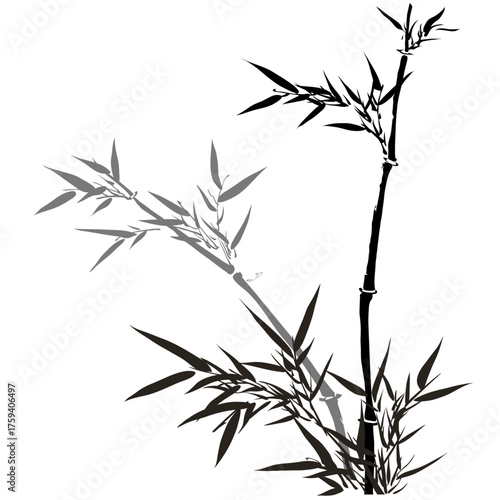 Hand drawn bamboo branch illustration with graceful leaves, traditional japanese Sumi-e brush style bamboo vector for calm natural artwork