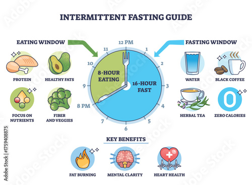 Intermittent fasting plan illustrates a 16,8 schedule with a clock, showing eating and fasting windows, spotlighting water and coffee as allowed beverages. Outline diagram