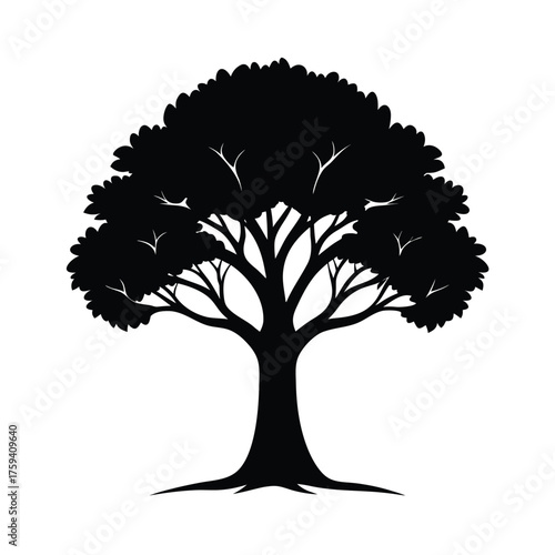 Black silhouette of a deciduous tree with spreading branches