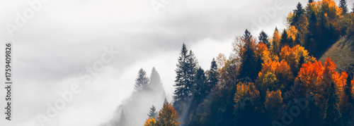 Photos foggy autumn morning landscape, wonderful nature scene, Carpathian mountains, Lviv region, Ukraine, Europe