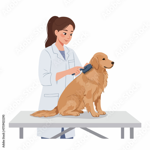 Flat Illustration Woman Grooming Golden Retriever Dog Pet Service