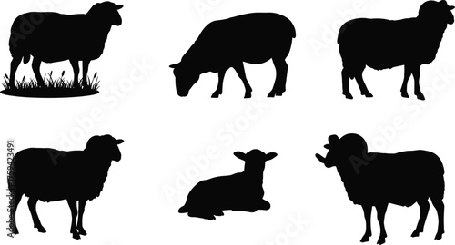 Sheep silhouette vector, grazing and lying poses, black farm animal icon, livestock illustration, cad drawing flat vector illustration