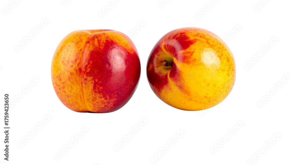 Fototapeta premium Pair of colorful nectarines with glossy skin, isolated on transparent background