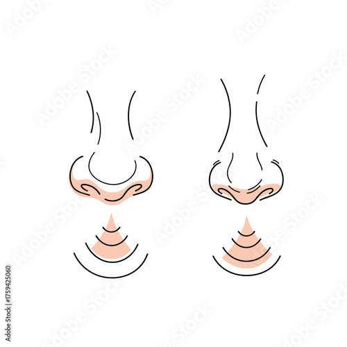 An artistic representation comparing the visual contours of two noses.