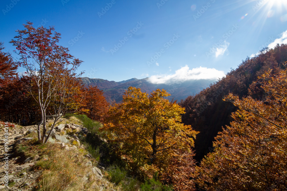Fototapeta premium autumn colors, Frignano Regional Park, Lake Santo, Lake Baccio, colorful forests, Pievepelago, Modena