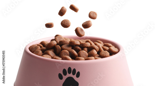 Pet Food in a Bowl, Dry Kibble for Dogs and Cats, Nutritious Animal Diet