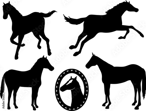 馬　モノクロシルエットイラスト